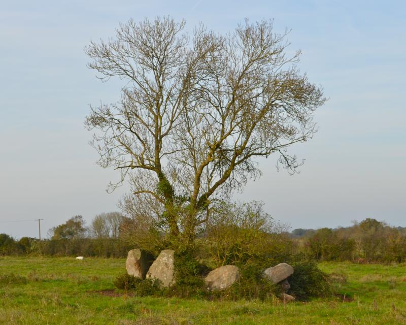 Dolmen dit La Salle des Fées, Sainte-Pazanne