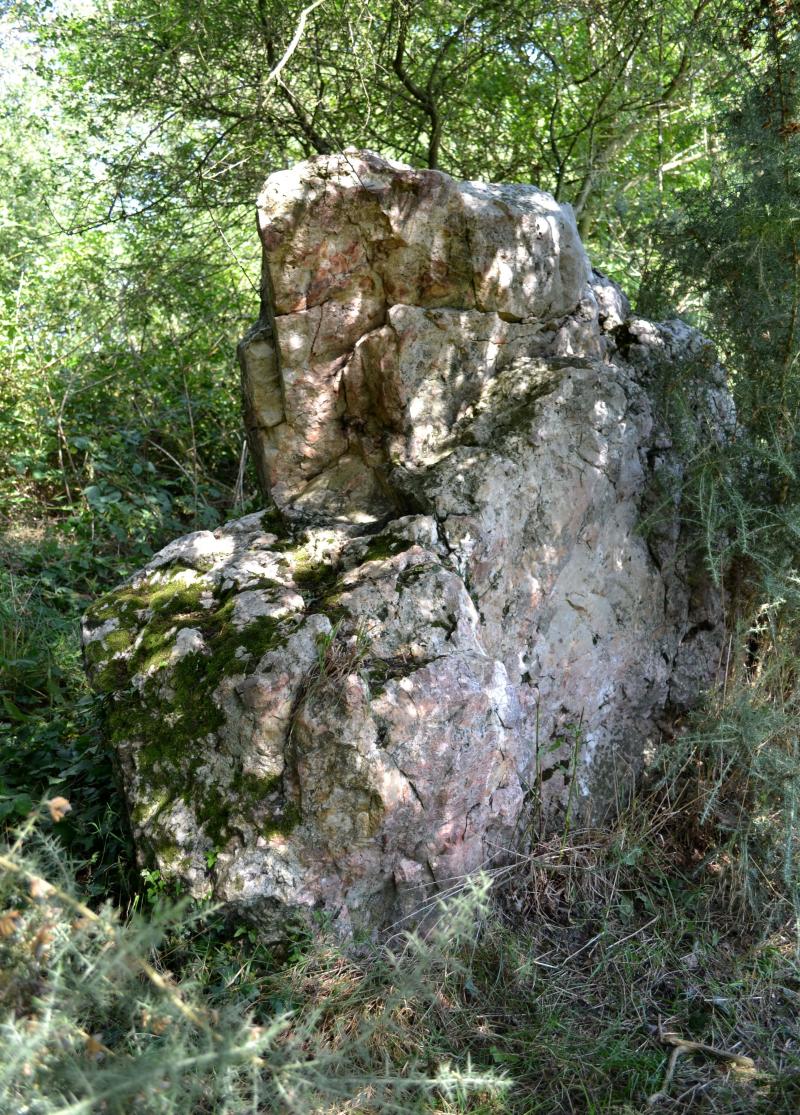 Menhir de Briangault, Sion-les-Mines