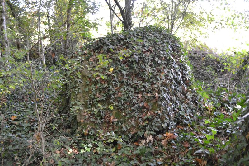 Menhir de Pierre-Pin ou Pierre des Huguenots, Sion-les-Mines