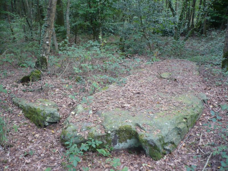 Monument mégalithique dénommée La Pierre de la Chopinière, Soudan