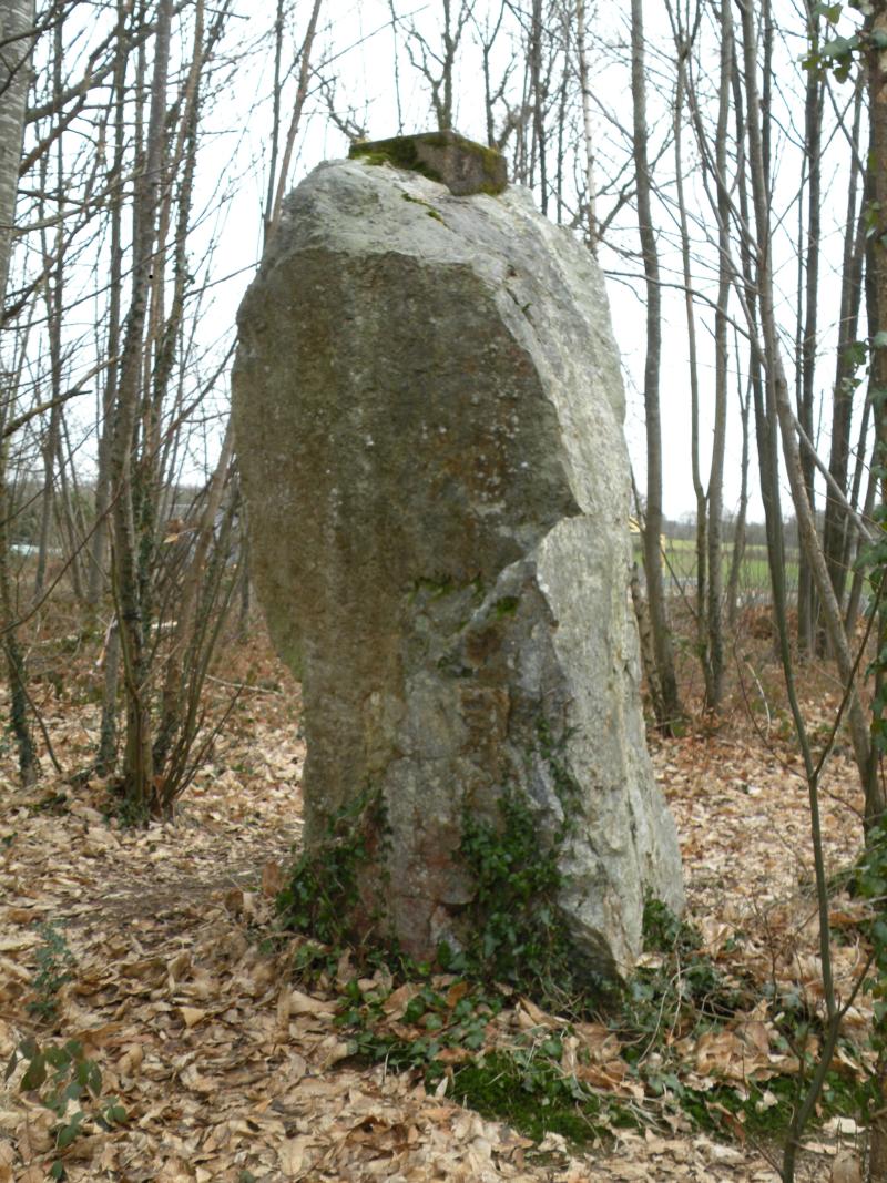 Menhir dit La Pierre qui tourne, Vay