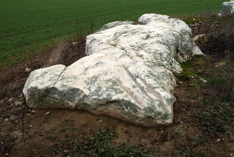 Polissoirs et menhir de Coinche, Chantecoq
