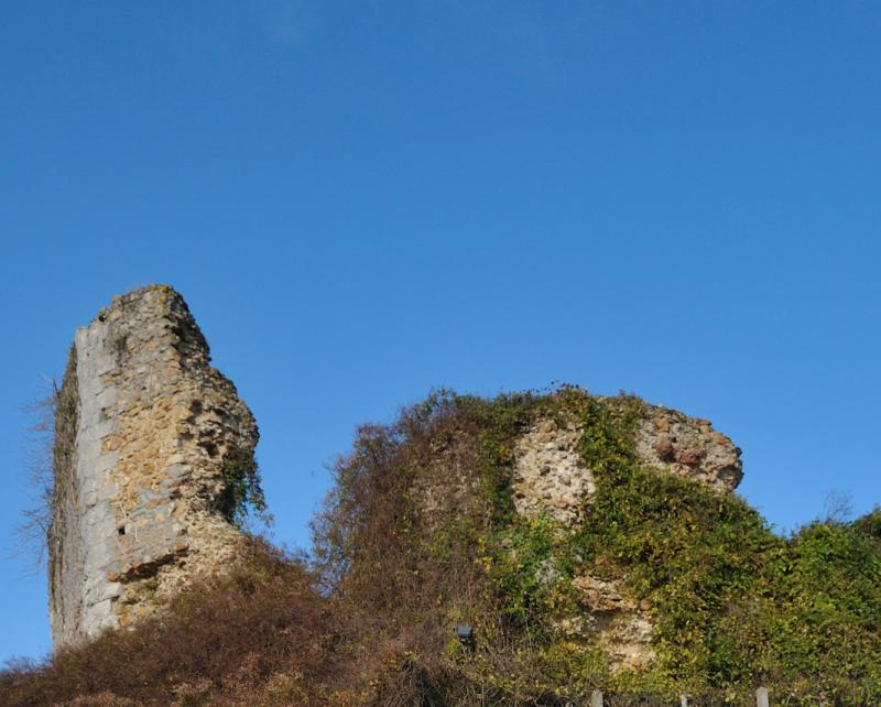 Ruines du donjon de la Motte, Saint-Gondon
