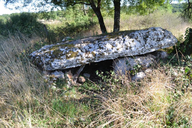 Dolmen dit Pierre Levée, Issendolus