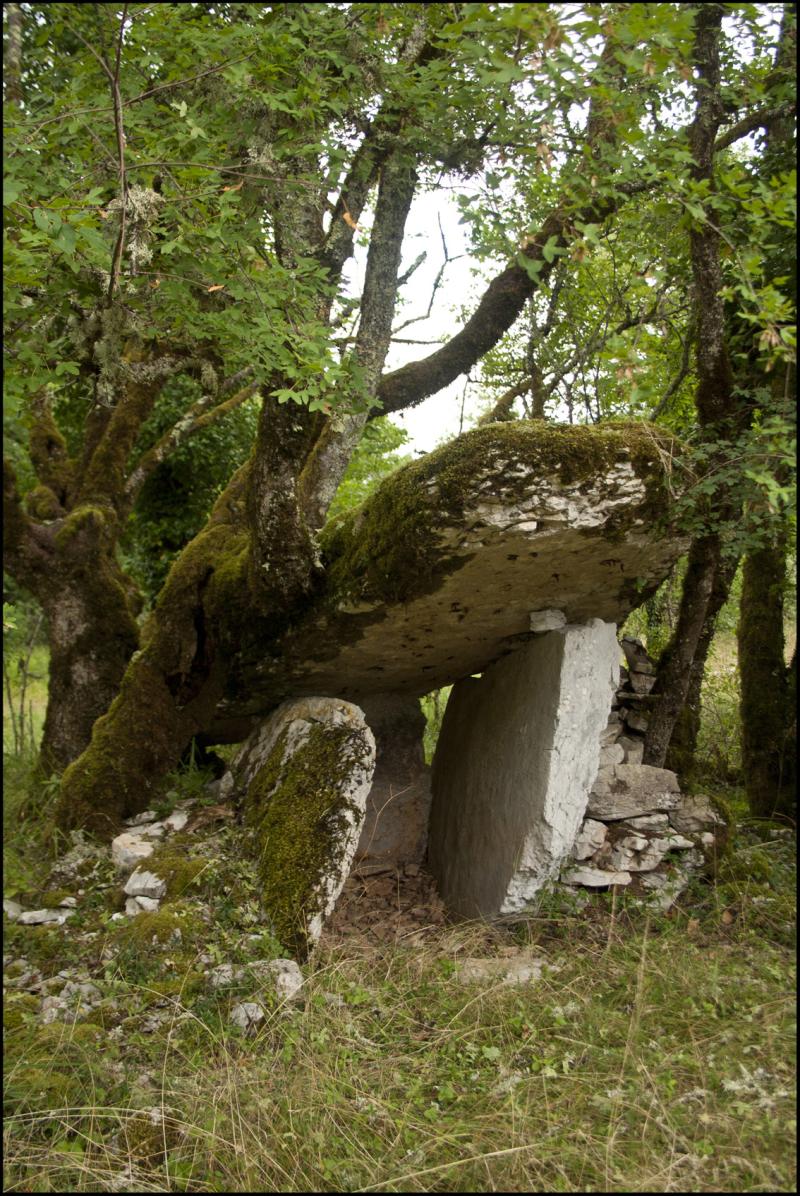 Dolmen des Agars, Saint-Chels
