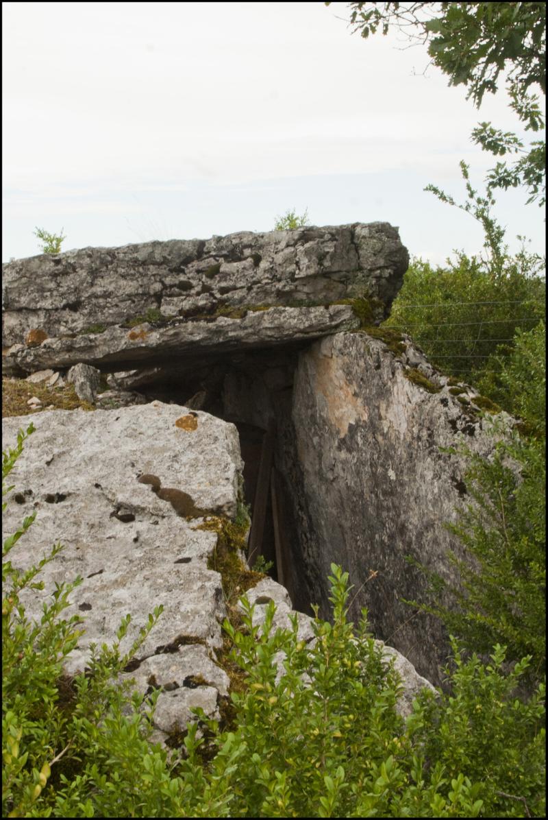 Dolmen du Mas de Pezet, Saint-Chels
