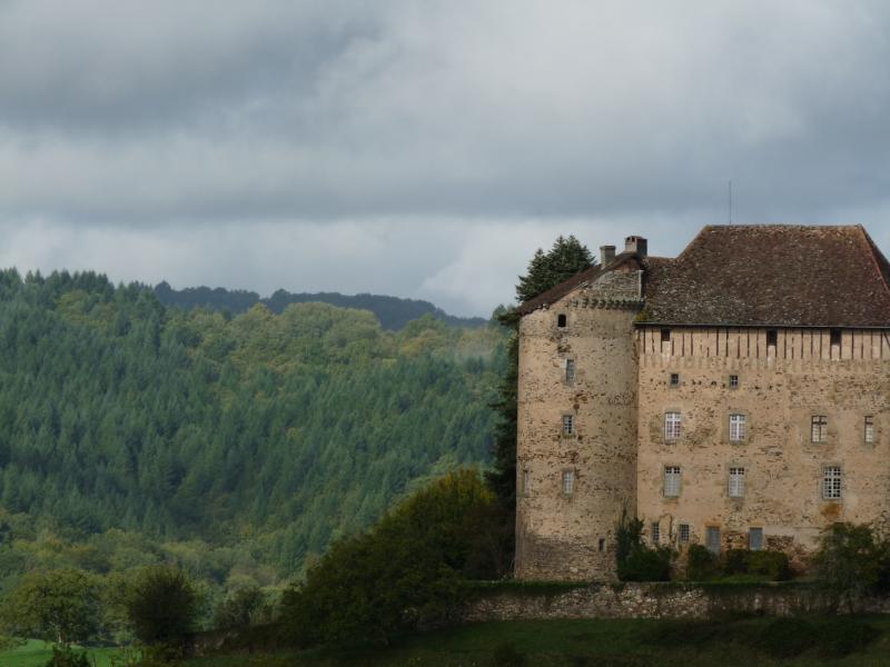 Château de Puy-Launay, Linac