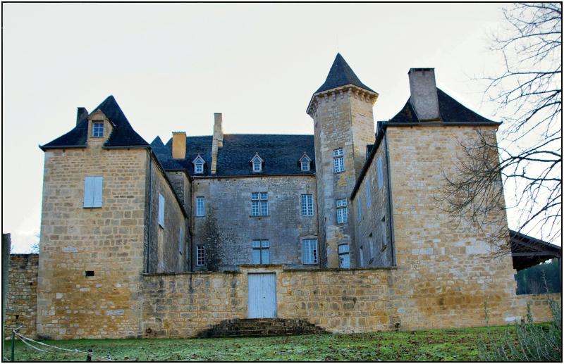 Château, Nadaillac-de-Rouge
