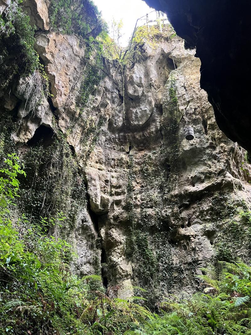 Site archéologique de la phosphatière du Cloup d'Aural, Bach