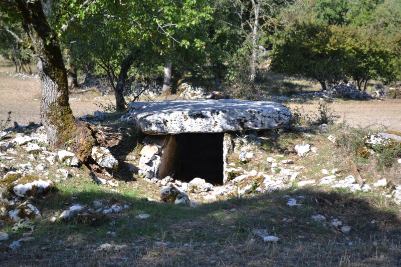 Site archéologique du dolmen du Rat, Saint-Sulpice