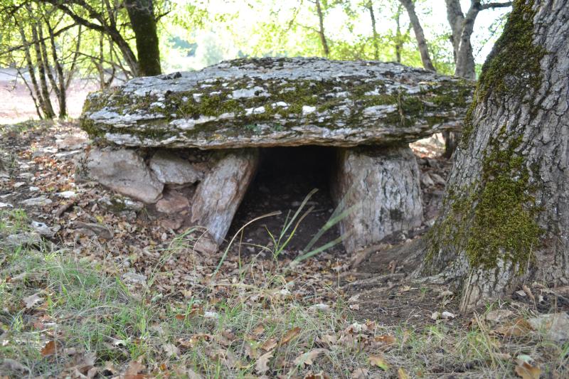 Site archéologique du dolmen de Combe de Saule n° 2, Marcilhac-sur-Célé