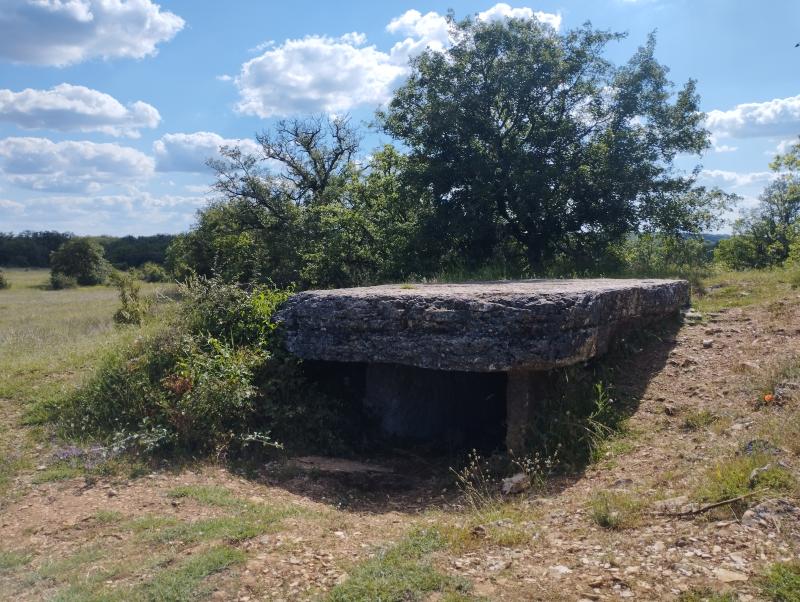 Site archéologique du dolmen des Barrières n° 3, Miers