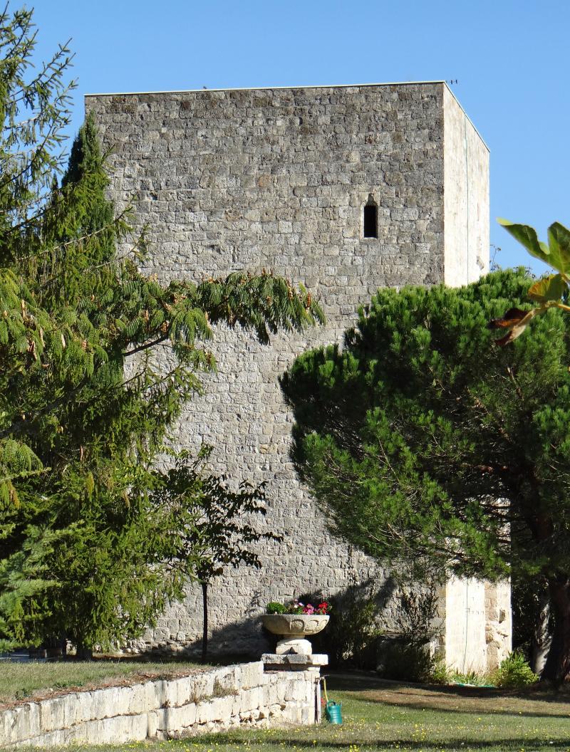 Ruines du donjon de Faugerolles, La Croix-Blanche
