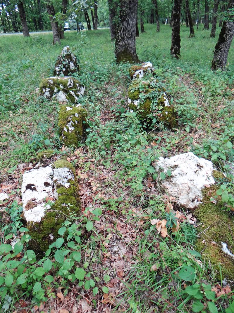 Trois alignements et deux tumuli, Masquières