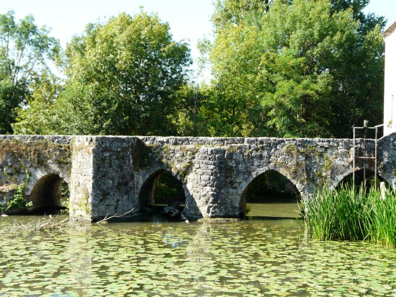 Pont médiéval, dit le vieux pont, sur le Dropt (également sur commune d'Agnac), La Sauvetat-du-Dropt