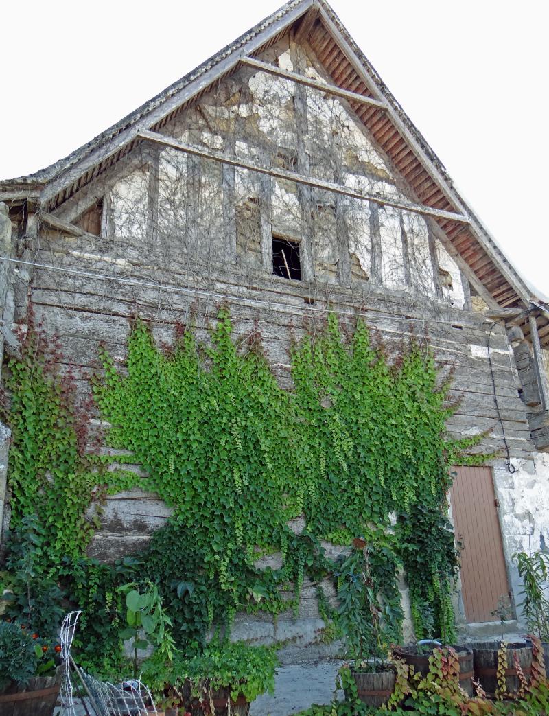 Maison à empilage de poutres du Buzard, Ségalas