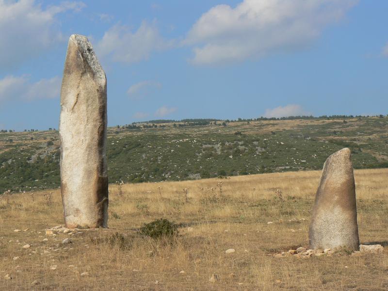 Vingt-trois menhirs sis au hameau de la Veyssière, autour de la source du ruisseau de Ruas, Les Bondons