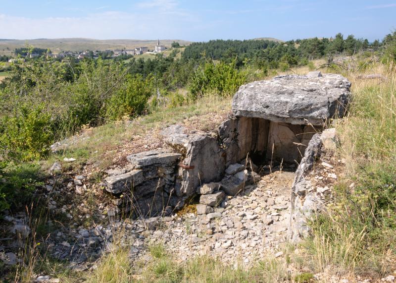 Dolmen du Buisson, Mas-Saint-Chély