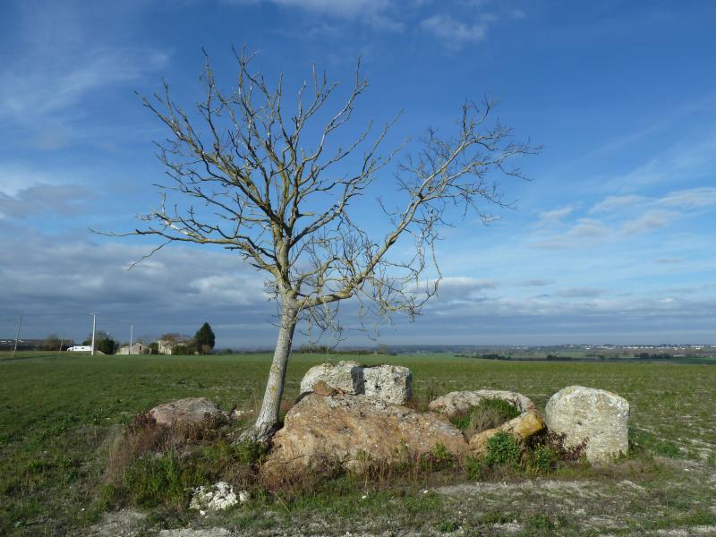 Dolmen du Griffier, Antoigné
