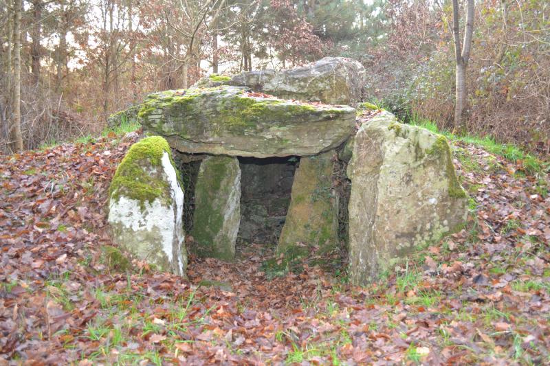 Dolmen, Champtocé-sur-Loire