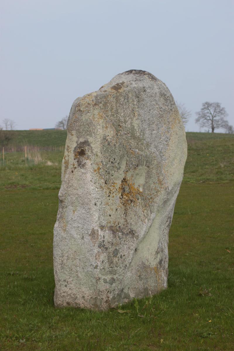 Menhir dit La Pierre Plate, Cholet