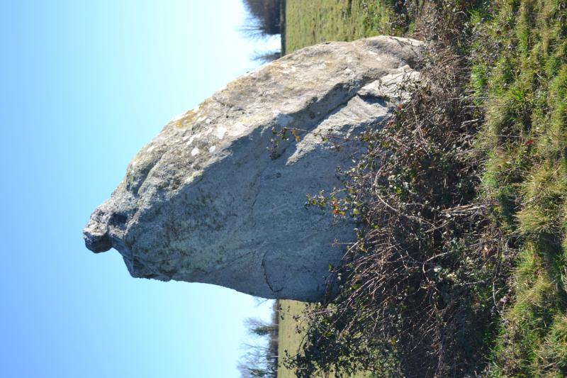 Menhir dit La Pierre au sel, Maulévrier