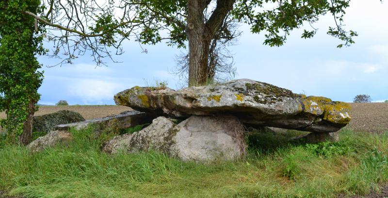 Dolmen dit La Pierre couverte de Mousseau, Les Ulmes