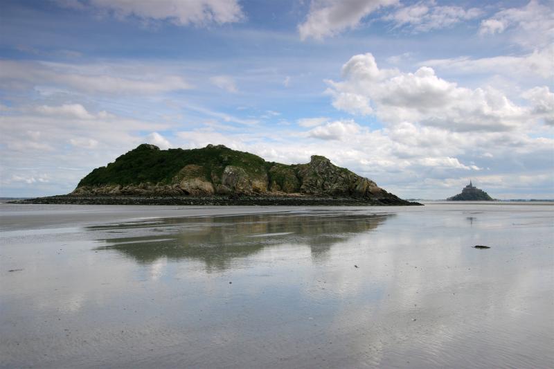 Ilot de Tombelaine, Genêts