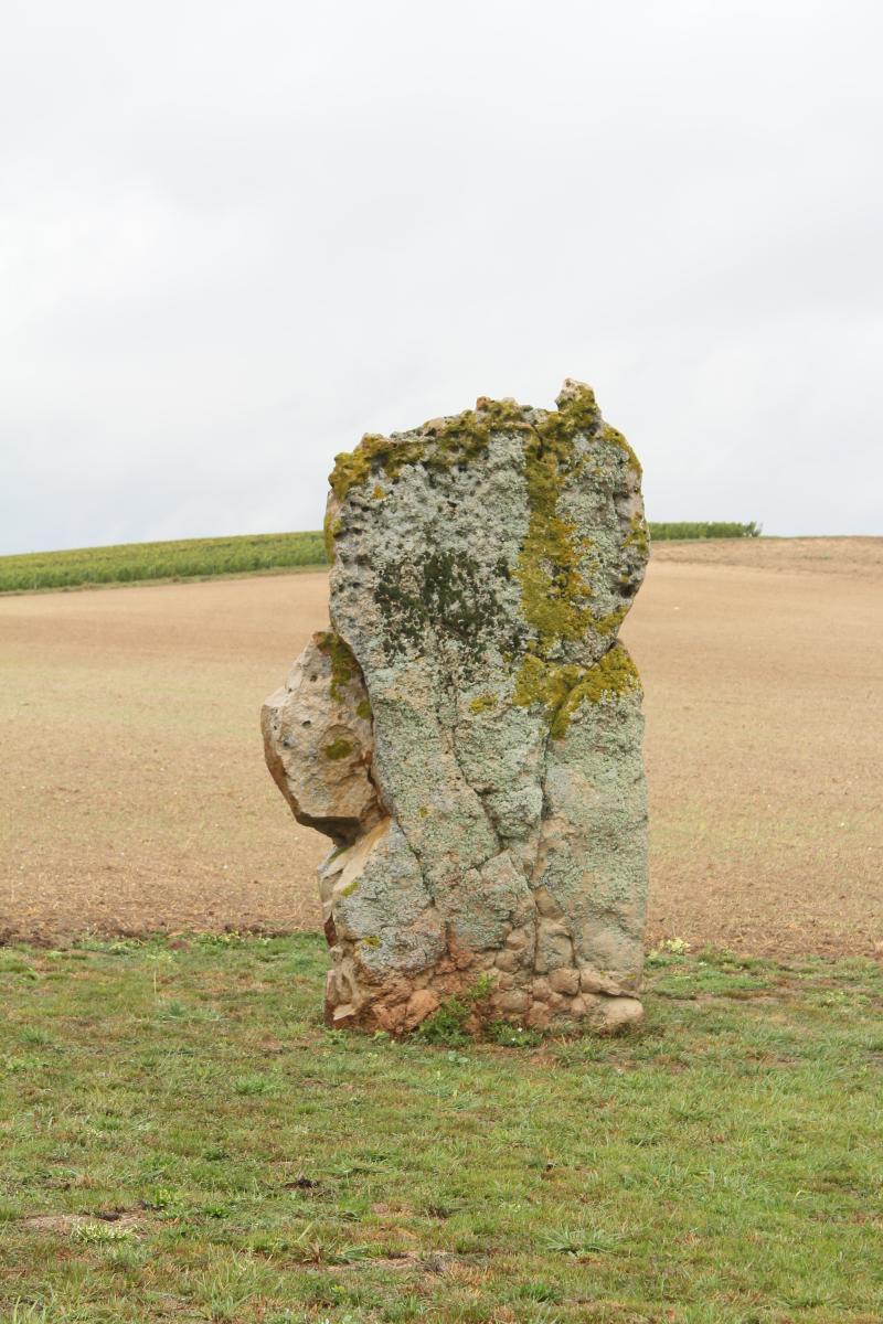 Menhir de l'étang de Chénevry, Congy