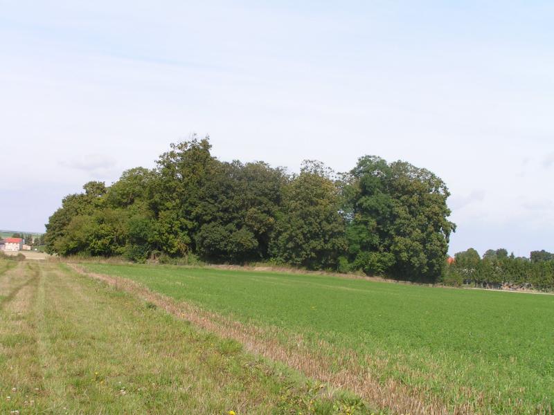 Tumulus ou tombeau de Théodoric, Poix