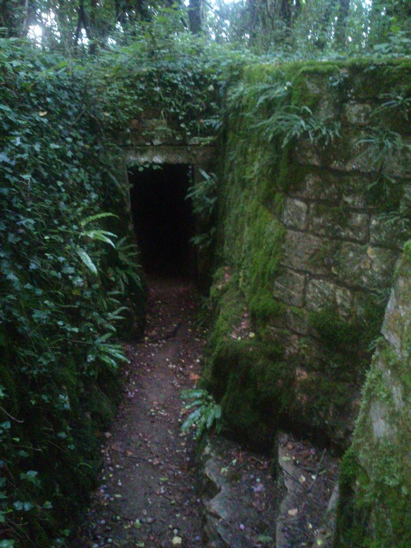 Aqueduc romain sur la montagne du Châtelet (restes), Fontaines-sur-Marne