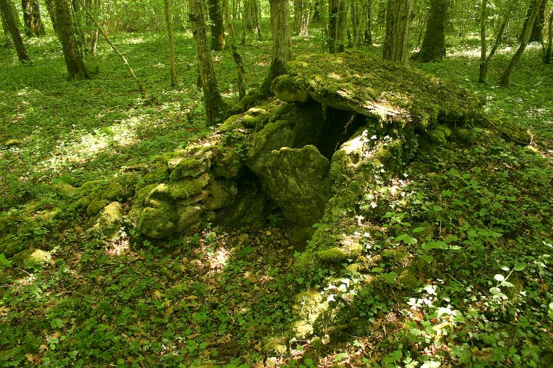 Parcelle D 201 avec ses vestiges préhistoriques