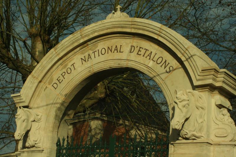 Dépôt d'étalons