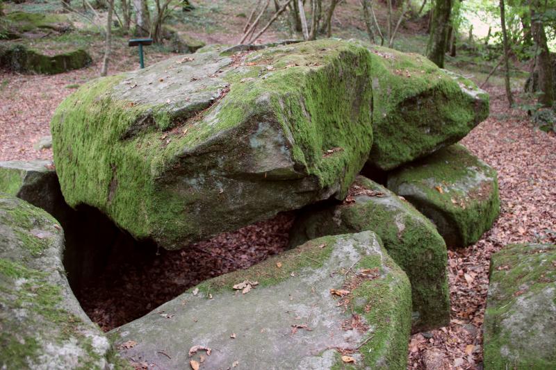 Dolmen de la Contrie du Rocher, Ernée
