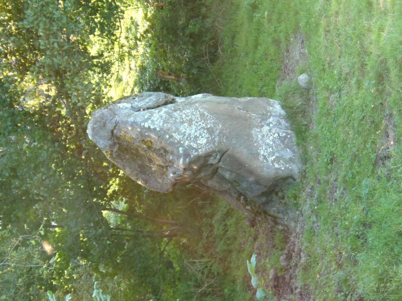 Menhir de la Broussardière, Montaudin