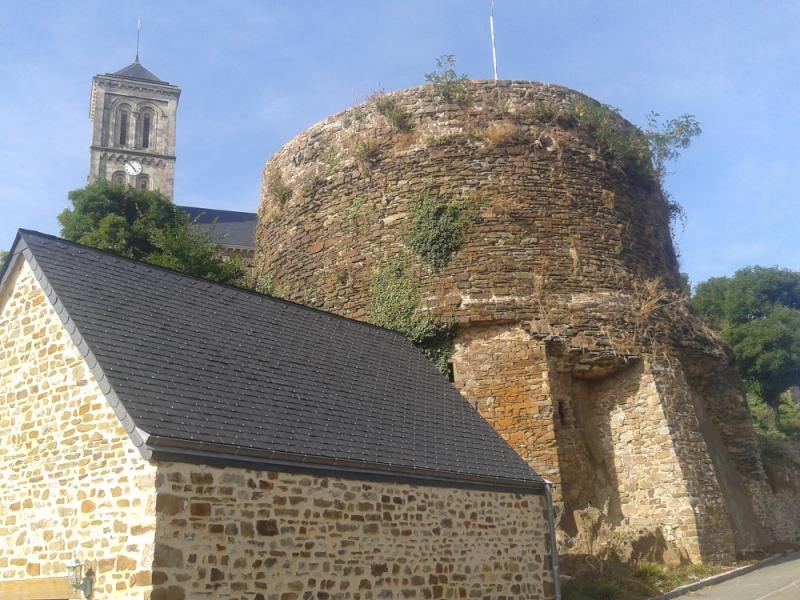 Tour dite Le Paradis aux Biques (ruines), Montsûrs