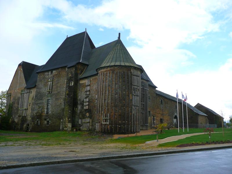 Château et son terrain d'assiette archéologique, Senonnes