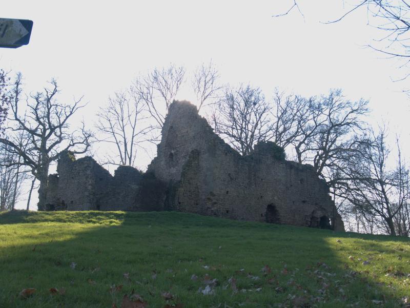 Château de Chellé, Hambers