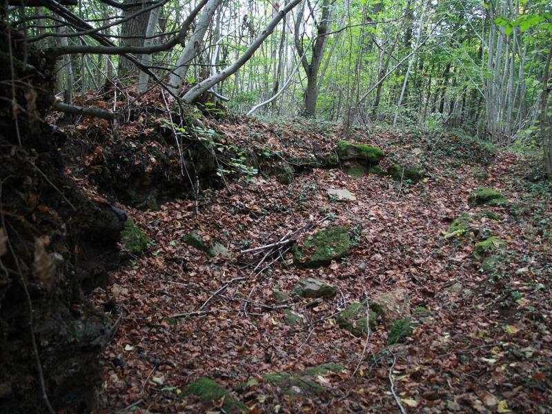 Enceinte préhistorique de la Fourasse, Champigneulles