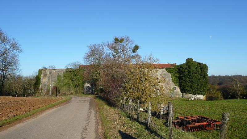 Château de Pierrefort, Martincourt