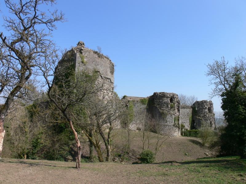 Château, Prény