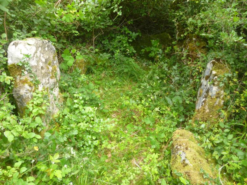 Dolmen de Bois l'Evêque, Sexey-aux-Forges