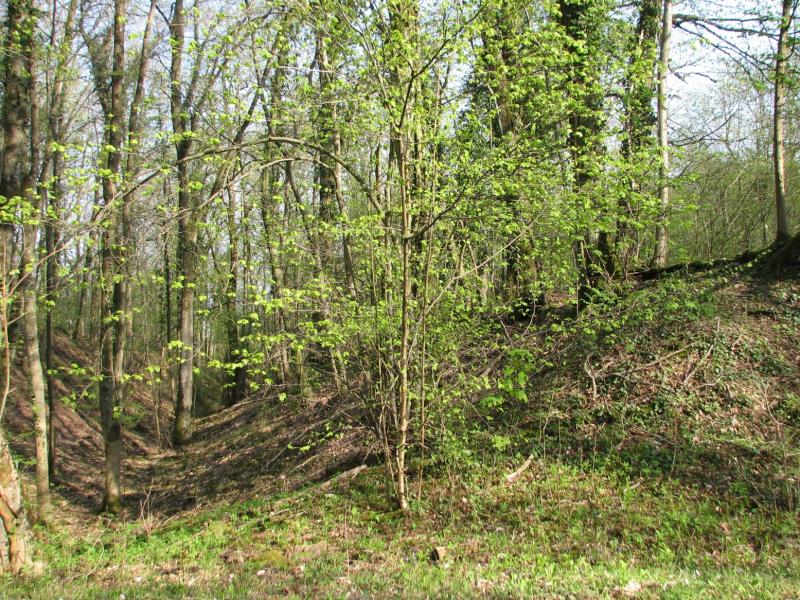Site archéologique de hauteur fortifié du Camp d'Affrique, Messein