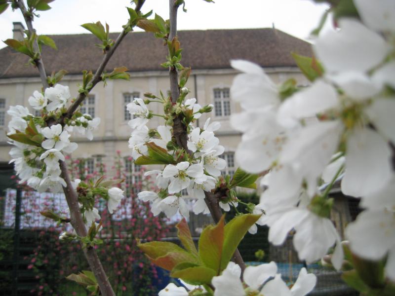Ancien prieuré de Breuil