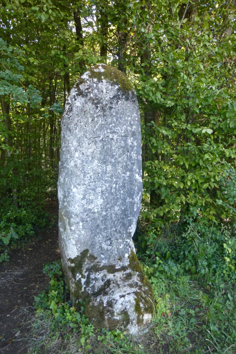 Menhir dit la Dame Schonne