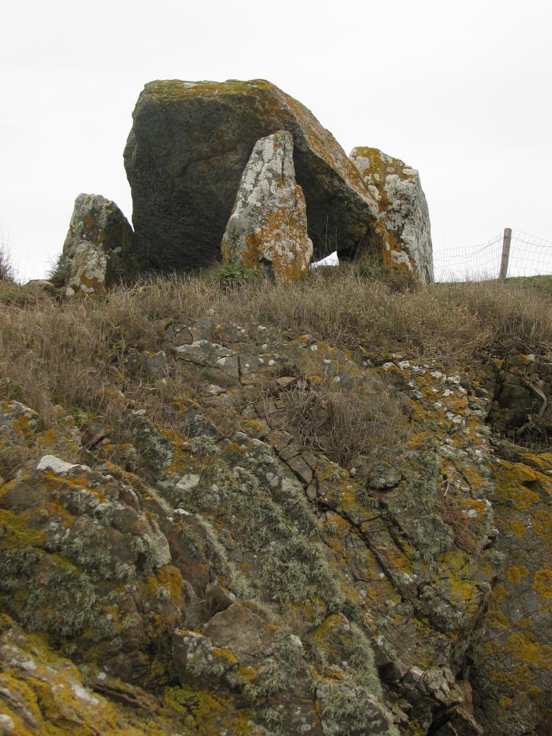 Dolmen dit Le Crapaud, Billiers