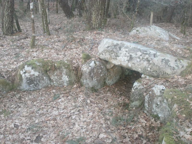 Dolmen à galerie de Mané-Brisil, Carnac