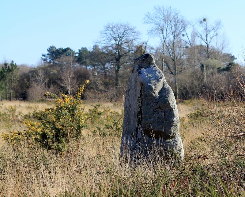Menhir de Kergo, Carnac