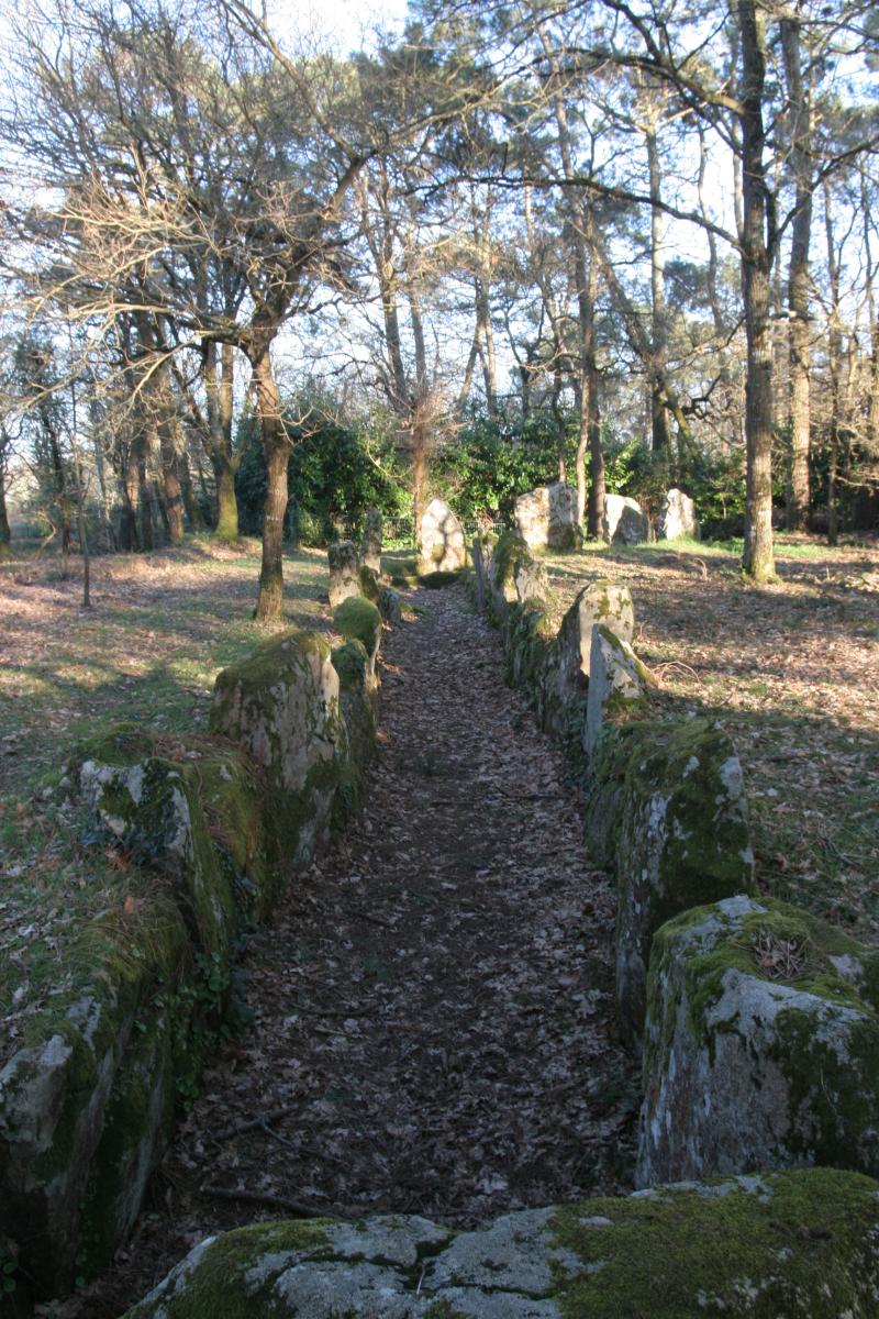 Allée couverte coudée avec la base de son tumulus circulaire