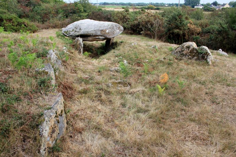Tumulus avec deux dolmens à galerie de Run-er-Sinzen